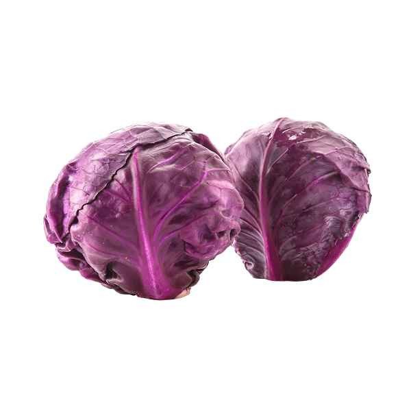 RED CABBAGE