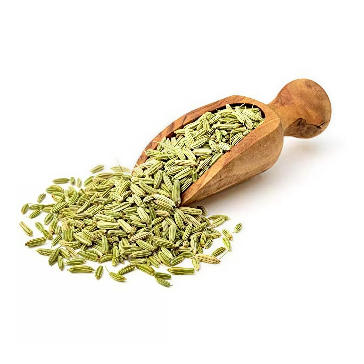 பெருஞ்சீரகம் Or சோம்பு (Fennel seeds)