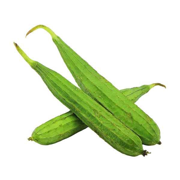 RIDGE GOURD