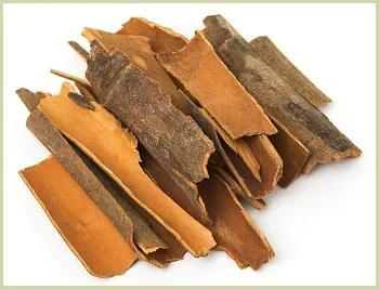 பட்டை (Cinnamon / Pattai)