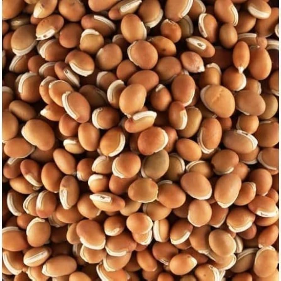 மொச்சை பயறு (Broad Beans)
