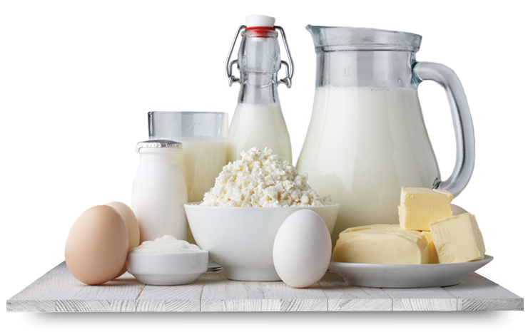 Dairy Essentials