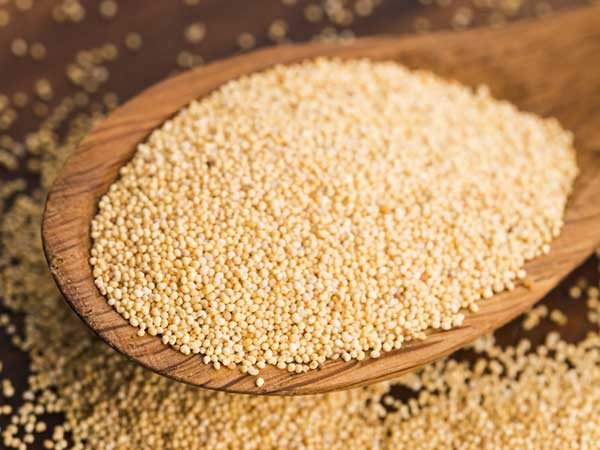 கசகசா (Poppy Seeds)